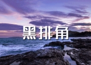 【黑排角+盐洲岛 | 2天】-海岸穿越-惠州-徒步海岸黑排角，摄影天堂盐洲岛《每周六、日出行（节假日每天出发）》